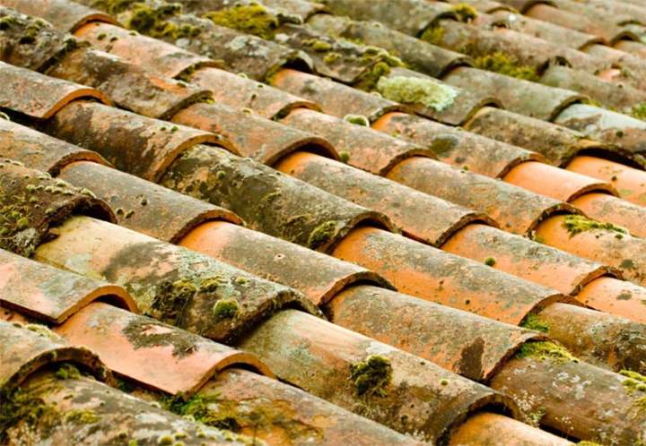 Nettoyage toiture Molsheim