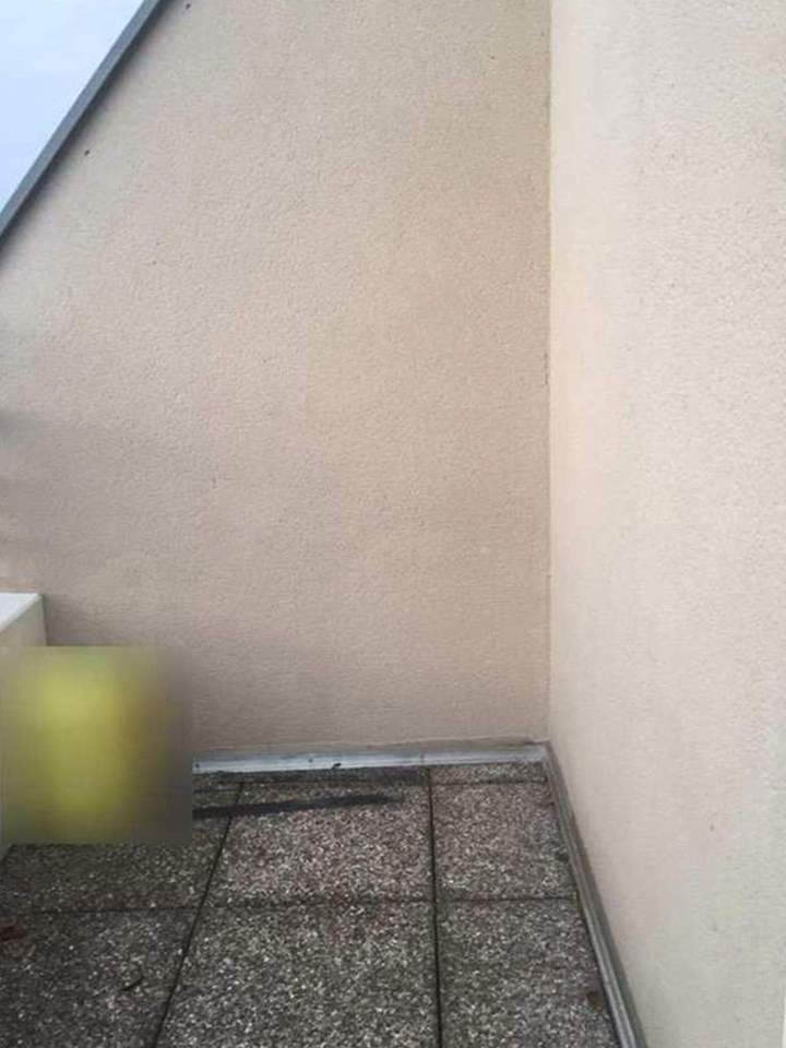 Peintre professionnel Molsheim